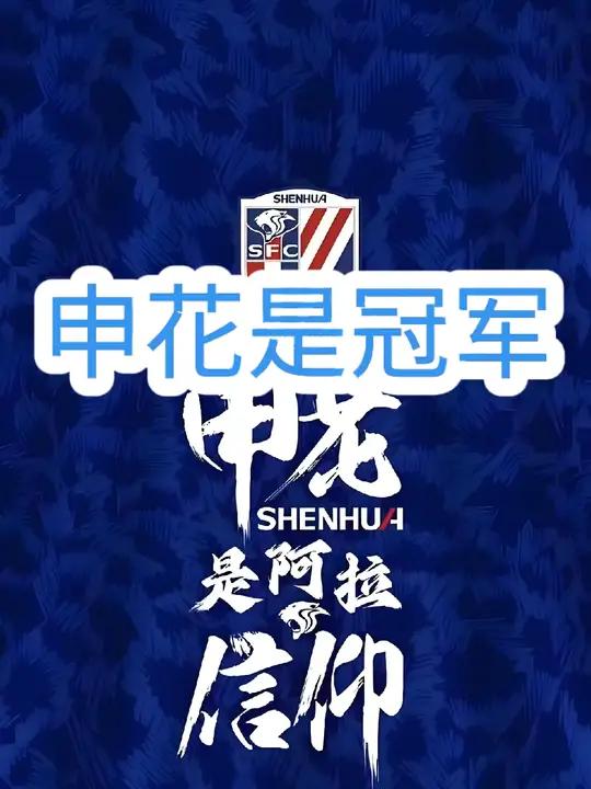 申花在场上表现出色，受到观众一致称赞