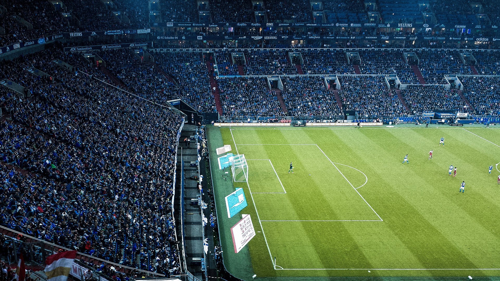  他的暗卫免费阅读完整版 